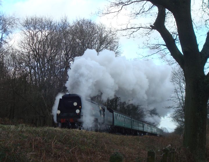 S.R. 'West Country' pacific No. 34007, 'Wadebridge', seen climbing from Alton to Medstead & Four Marks with a morning service from Alton to Alresford. (27th December 2009)